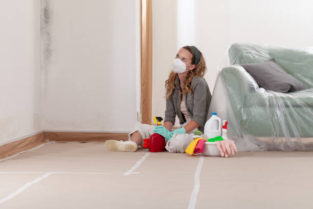 Reliable Mold Remediation contractor in Ridgewood, IL by Cheap Mold Removal